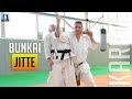 Jitte bunkai  karate 