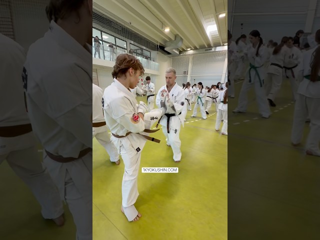 Baltic Fighting Camp 2026 #kyokushin #shinkyokushin #karate #1kyokushin #一極真 #極真会館