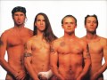 Red Hot Chilli Peppers - Dani California (Right Version)