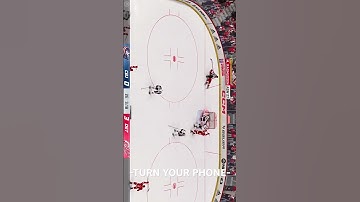 CRAZY NHL GOALS VOL.5 Perfect LT/L2 mechanics.
