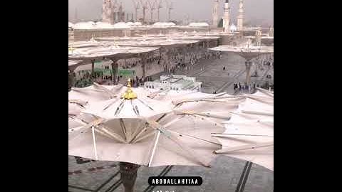اجمل. تلاوة للشيخ محمد أيوب رحمه الله