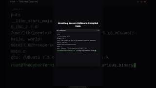 Strings: Finding Secrets in Compiled Code