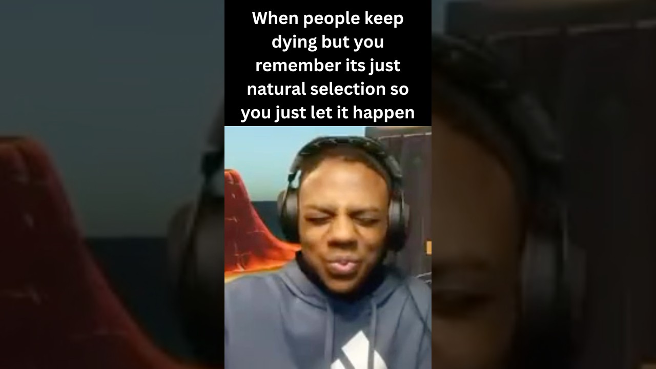 Dandy’s world meme 