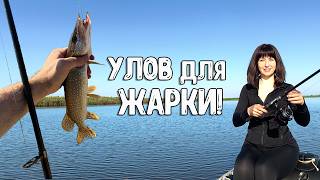 видео: РЫБАЛКА НА ОБИ – ЩУЧКИ НА ЖАРЁХУ! картинка: РЫБАЛКА НА ОБИ – ЩУЧКИ НА ЖАРЁХУ!