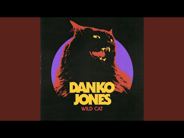 Danko Jones - Do This Every Night