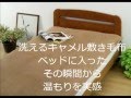 キャメル敷き毛布（洗える毛布）