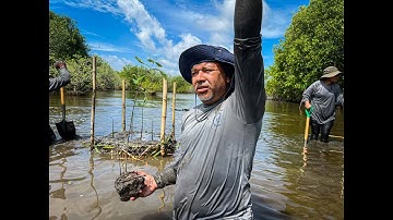 Protecting the environment | Restoring Mangroves in El Salvador