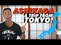 Ashikaga in japan needs to be discovered japan travel vlog guide