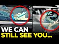 "SURELY nobody will notice?" | Drivers CAUGHT using mobile phones by Police HGV (We noticed)