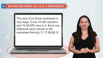 My Search Class 6 Chapter 5 Introduction to Excel 2019