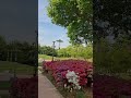 천리향