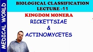 RICKETTSIA & ACTINOMYCETES | BIOLOGICAL CLASSIFICATION | LECTURE 11