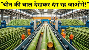 China’s Billion-Dollar Bamboo Industry | Making Eco-Friendly Toothbrushes & Spoons