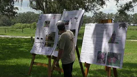 Wild Pigs in Florida - Youth Field Day 2023