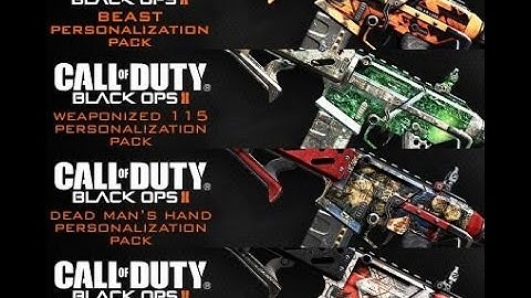 Top 5 Black Ops 2 DLC Camo packs (HD 1080P)