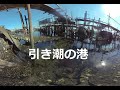 引き潮の港！The port of ebb tide! 　180度3DVR　oculus go！