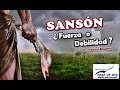 SANSÓN ¿FUERZA O DEBILIDAD?