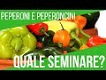 SEMINARE I PEPERONI E PEPERONCINI | LE VARIETÀ MIGLIORI | ORTO E GIARDINAGGIO