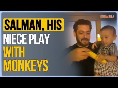 VIDEO: Salman Khan Turns Playful, Takes His Niece To Play, Feeds Bananas To Monkeys