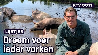 Deze boeren hebben de beste modderpoel voor hun varkens | RTV Oost