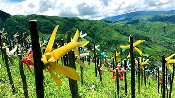 mùa hoa chào đón Quốc khánh 2/9/2018