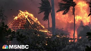 Wildfires, rising heatwaves, hurricanes: Climate change's global impact