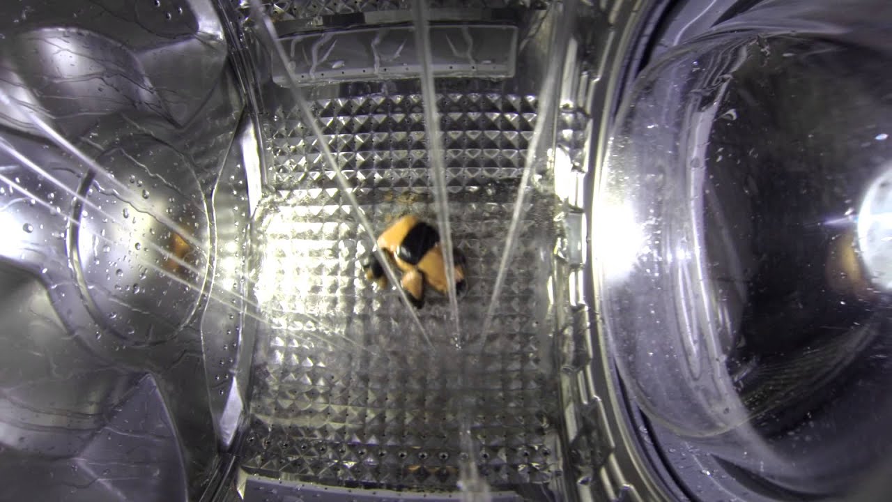 GOPRO HERO3, PIG AND THE WASHING MACHINE 1080p full hd