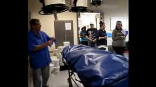 Introduction to the Cadaver Lab