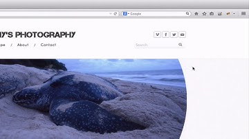 Selenium Python language- Locating Elements Using CSS Selector