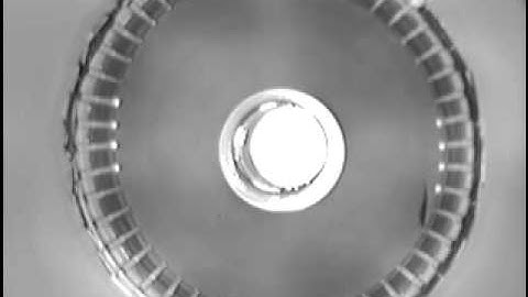 The OptoSwim Principle - optomotor response in salmon using lights