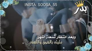 بشارة مولود بإسم بدر