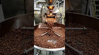 How Chocolate Is Made | Complete Chocolate Manufacturing Process From Cocoa Bean to Chocolate Bar. 🍫