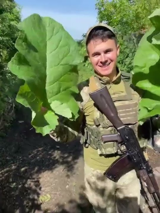 Гумор від хлопців ЗСУ Слава Україні ❤️🇺🇦