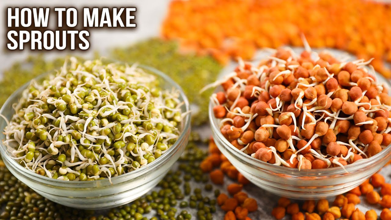 How To Make Sprouts | 2 Ways of Sprouting | Sprouts Storage Ideas | Complete Sprout Guide | Ruchi | Rajshri Food
