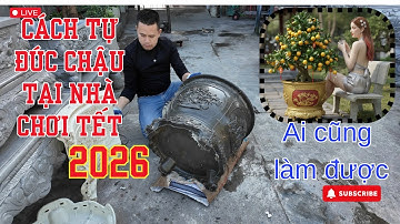 Cách đúc chậu cảnh tại nhà chơi tết 2026