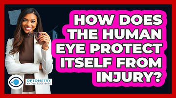 How Does The Human Eye Protect Itself From Injury? - Optometry Knowledge Base