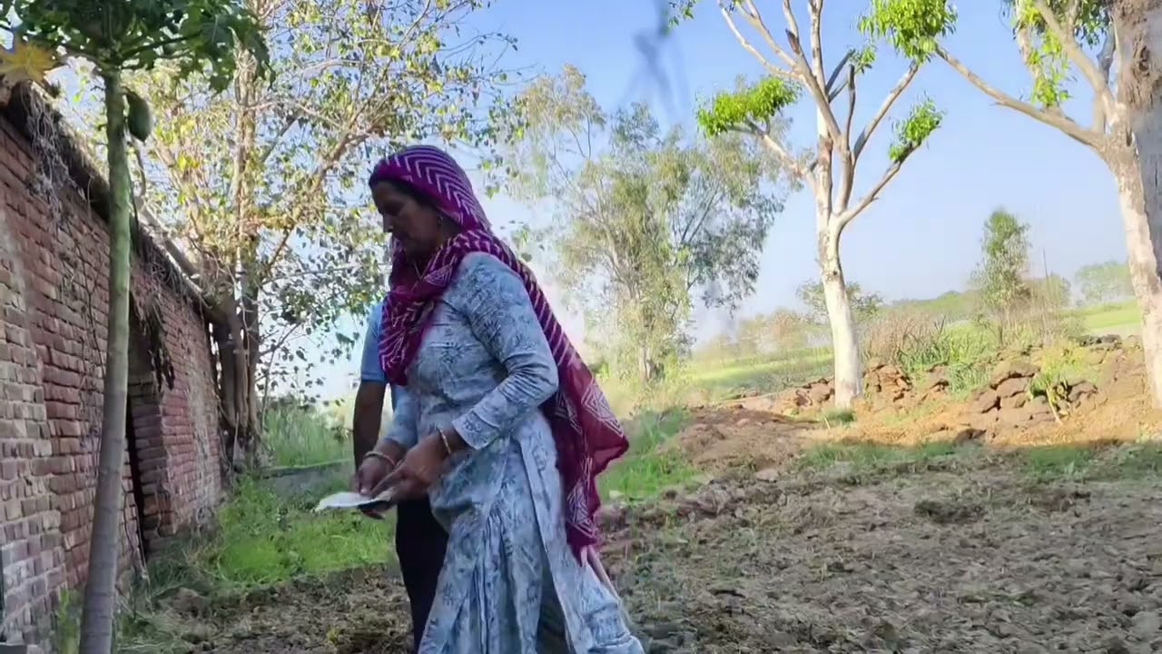  इस सीजन की सब्जी लगा दी 👌🥰#vlog#dailyvlog 