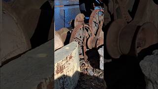 Download Lagu Collection along the Water MP3