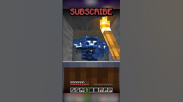 JAVA WITHER VS BEDROCK WITHER #minecraft #shorts