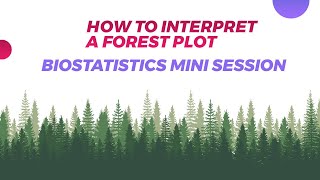 How to interpret a forest plot