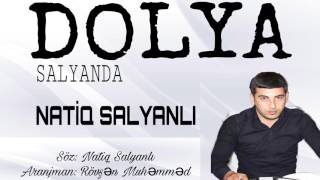 Natiq Salyanlı - DOLYA ( Salyanda ) 2017 Resimi
