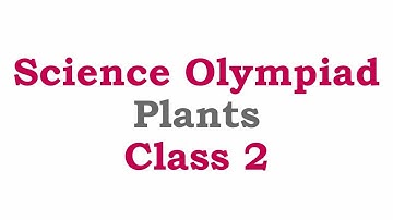 NSO Science Olympiad Class 2