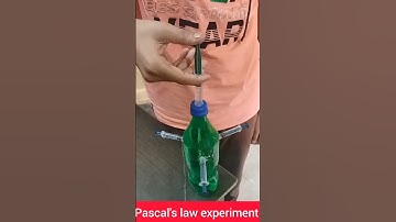 Pascal