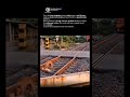 Heart-Stopping Rescue: Dog Pulls Cat to Safety! #shorts