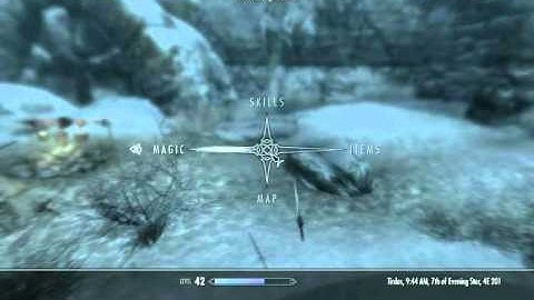 Skyrim Character Invisible bug (but not the one people seem to be getting)