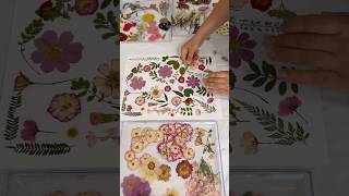 F￼lower preservation bridal bouquet, preservation ideas pressed flowers