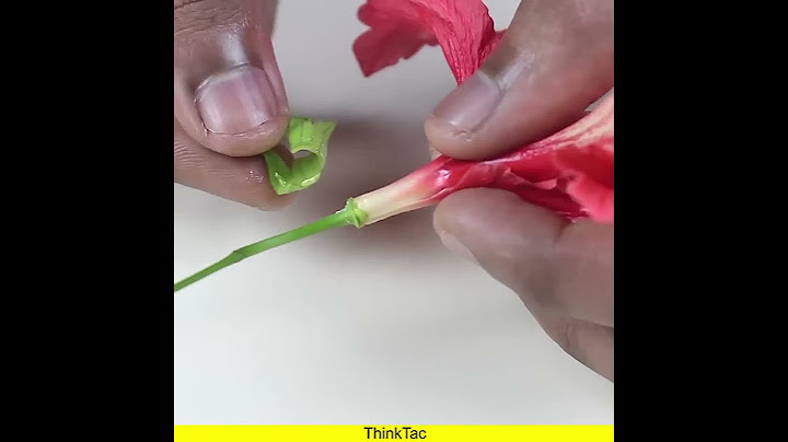 Explore Flowers | ThinkTac | #YouTubeShorts #DIY #Short #DIYscience