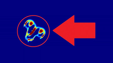 Paracaudopteryx orbis!? (From Lenia, a serious upgrade to Conway