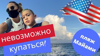 Пляж в Майами. Куча водорослей! #Переезд в #США.