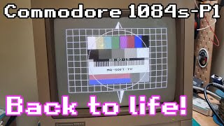 Bringing a Commodore 1084S-P1 back to life!